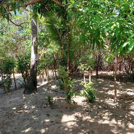Bed and Breakfast Cabana Playa Cambiaso Puerto Plata Exterior foto