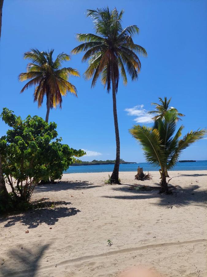 Bed and Breakfast Cabana Playa Cambiaso Puerto Plata Exterior foto