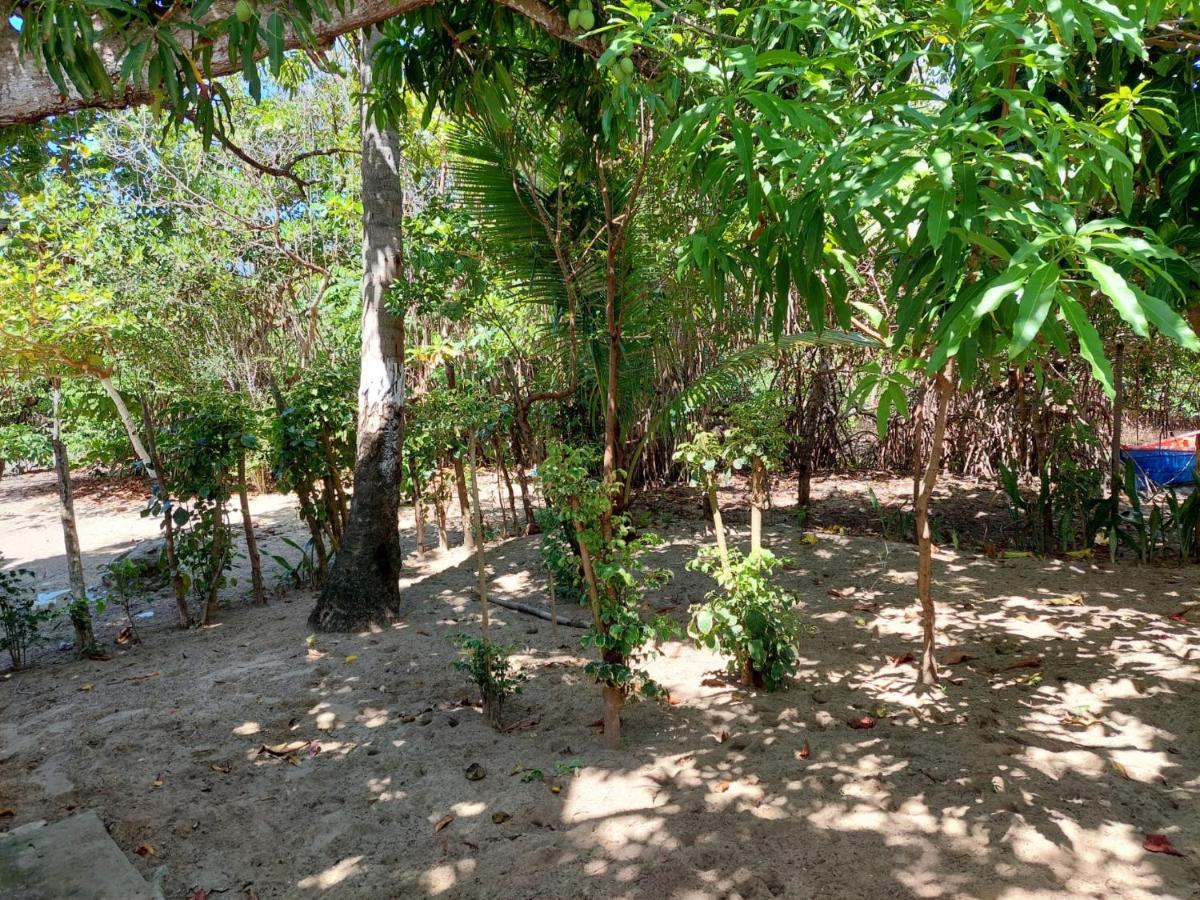 Bed and Breakfast Cabana Playa Cambiaso Puerto Plata Exterior foto