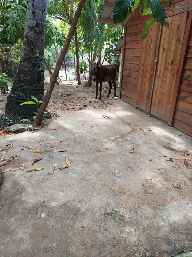 Bed and Breakfast Cabana Playa Cambiaso Puerto Plata Exterior foto